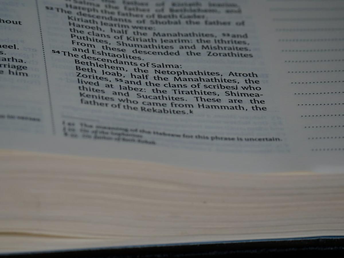 Kreator stron internetowych Mobirise