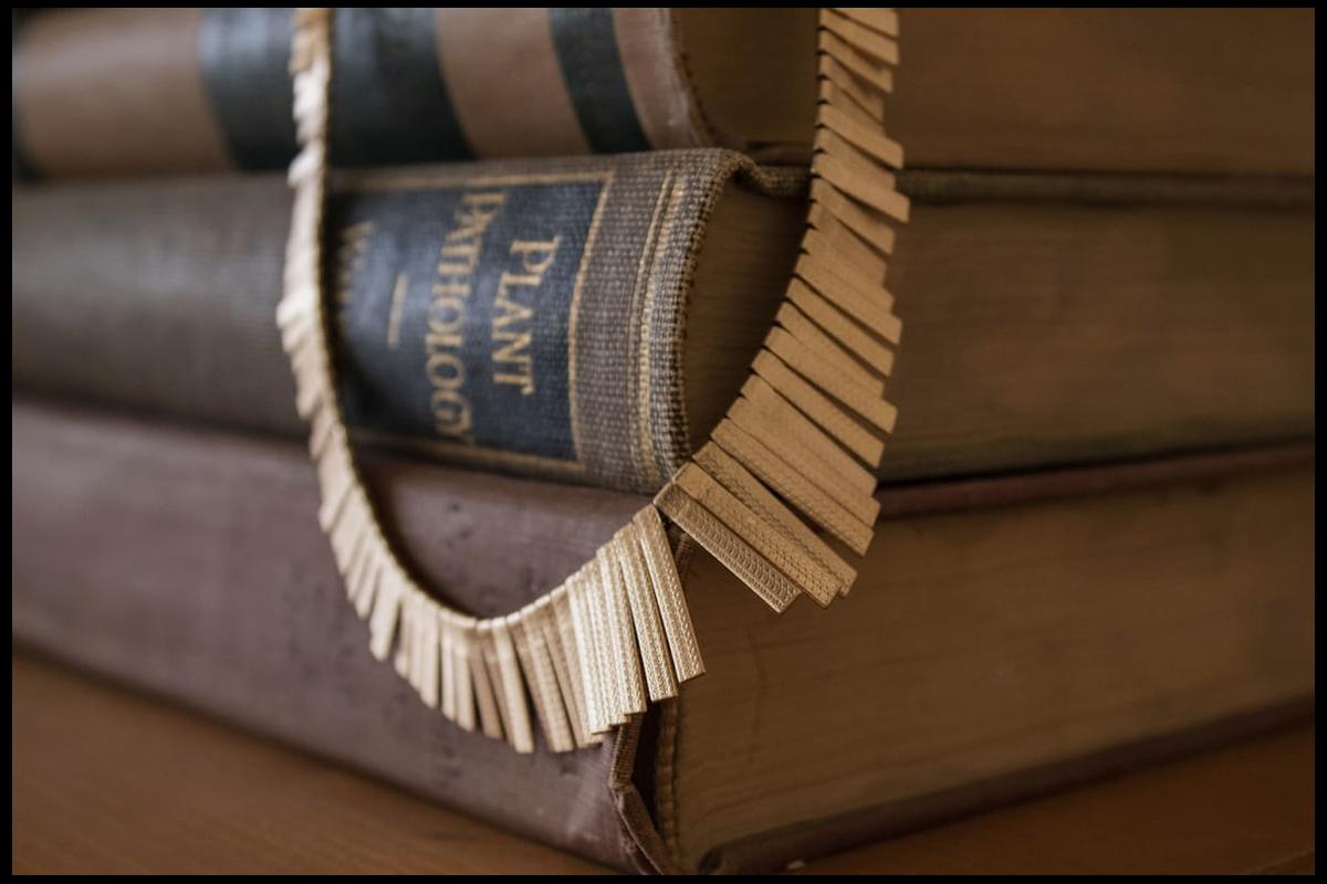 Kreator stron internetowych Mobirise