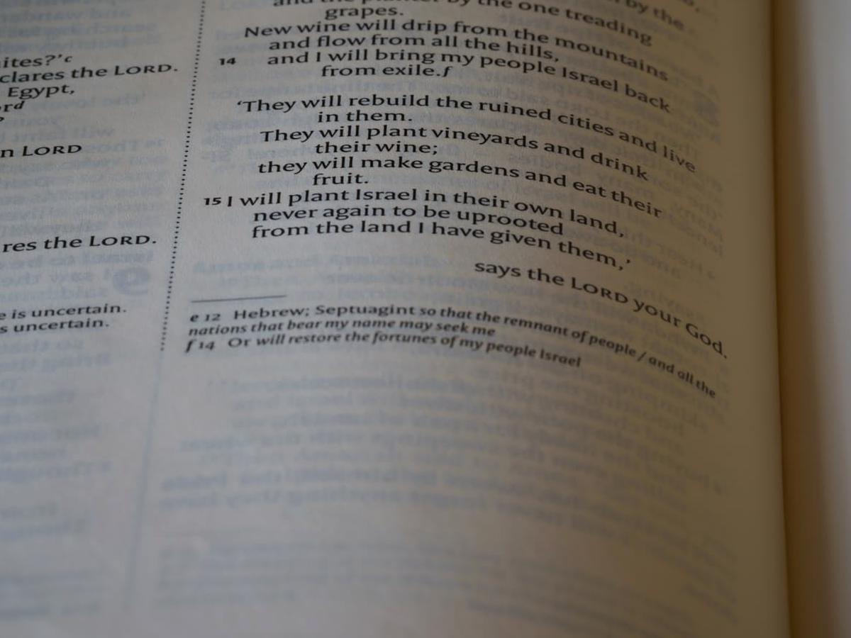 Kreator stron internetowych Mobirise