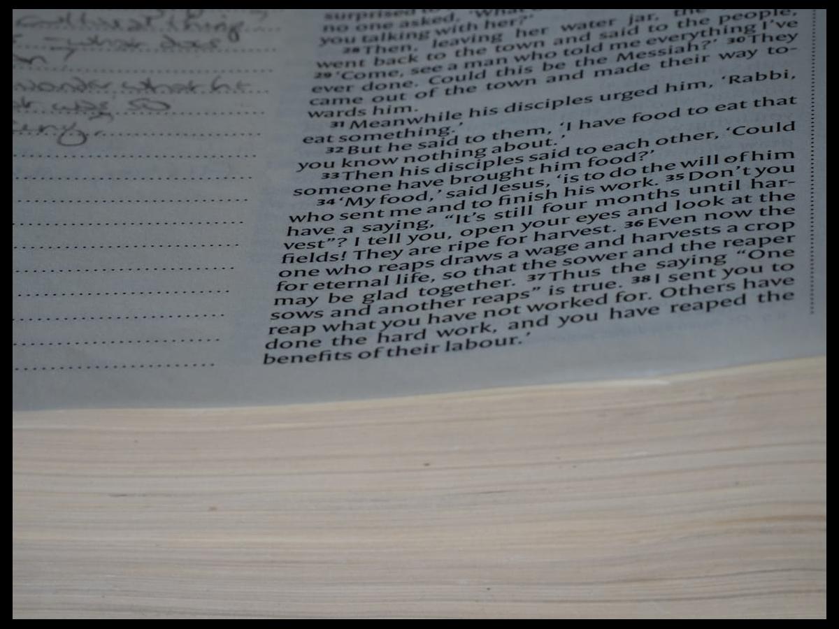 Kreator stron internetowych Mobirise