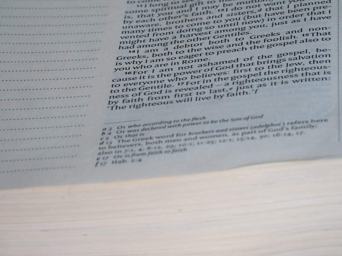 Kreator stron internetowych Mobirise